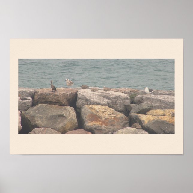 Rocks with Birds Ocean Waterscape Poster (Frente)