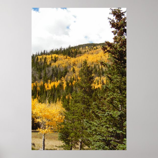 Rocky Mountain Fall Color Photo Nature Wall Poster (Frente)