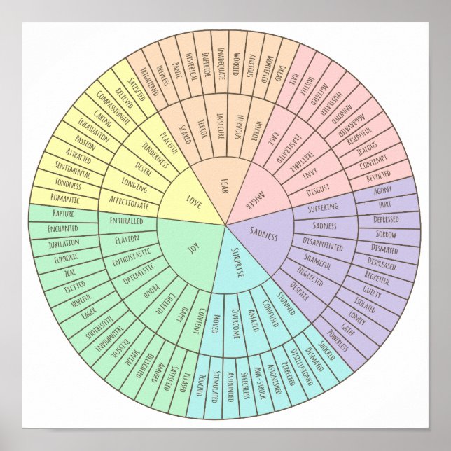 Roda das emoções poster (Frente)