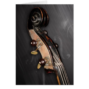 Rolo baixo - cartão