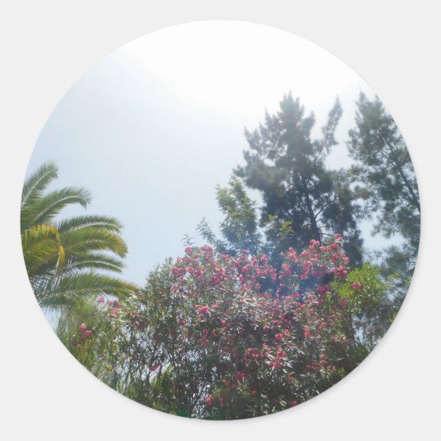 ROLO DE ADESIVOS  (Frente)