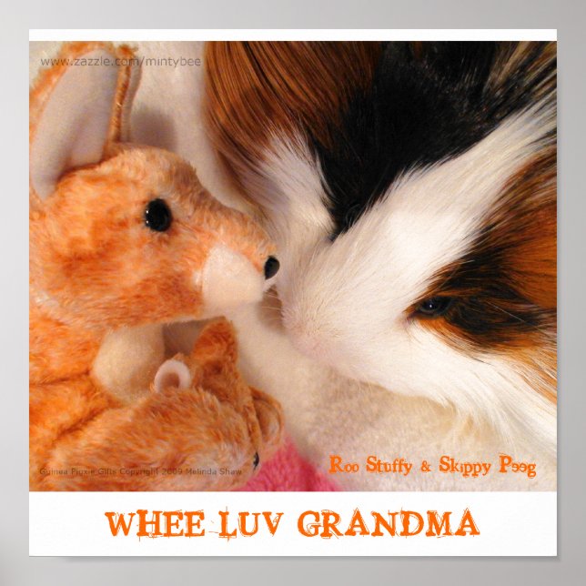 Roo Stuffy e Skippy Peeg Poster (Frente)