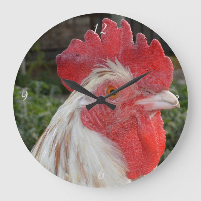 Rooster Branco castanho, relógio de parede redondo (Frente)