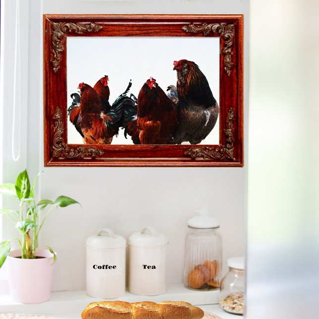 Rooster Gang Chicken Rooster Art Poster (Criador carregado)