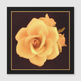 Rosa Amarela, Foto 2004.