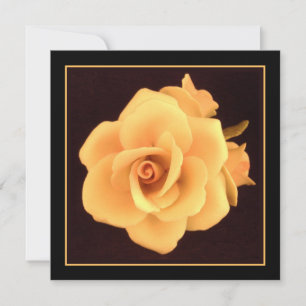 Rosa Amarela, Foto 2004.