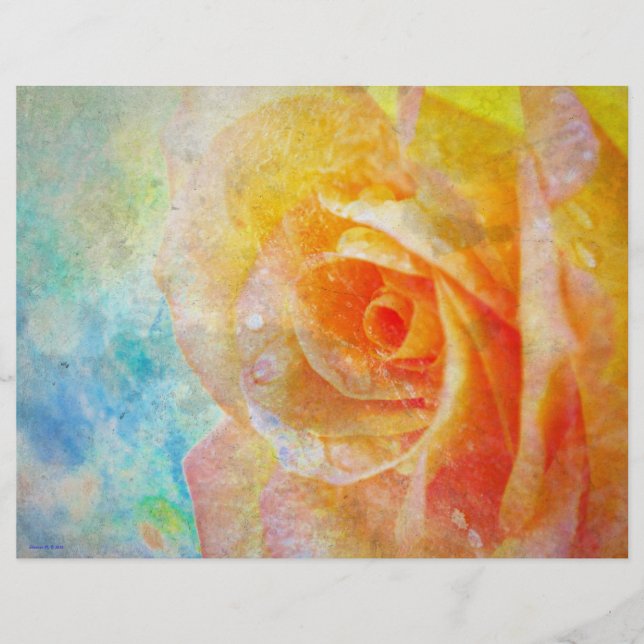 Rosa Amarelo - Alface (Frente)