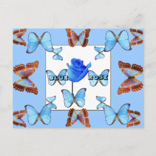 ROSA AZUL! Cartão Postal