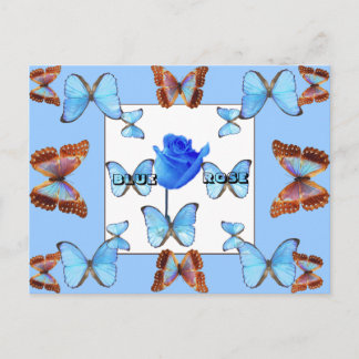 ROSA AZUL! Cartão Postal