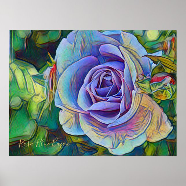 Rosa Blue Bajou [Papel Poster de valor] (Frente)