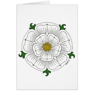 Rosa branco do cartão de York
