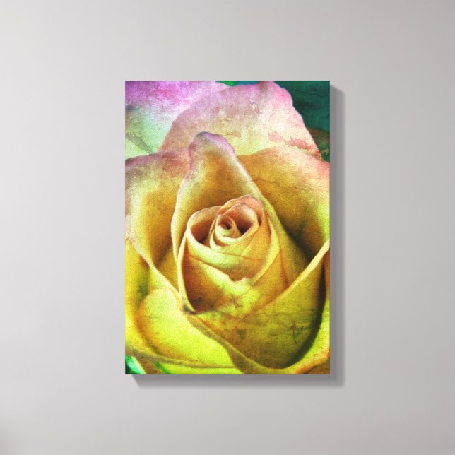 Rosa Canvas Art (Frente)