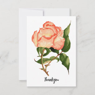 Rosa cor-de-rosa-rosa com folhagem Cartões de agra