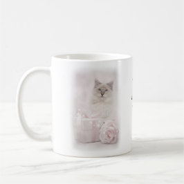 Rosa da caneca de Ragdoll