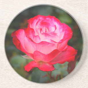 Rosa de Cherry Parfait 3 Porta copos Sandstone