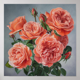 Rosa de Coral de Flor de Arte Impressão Poster