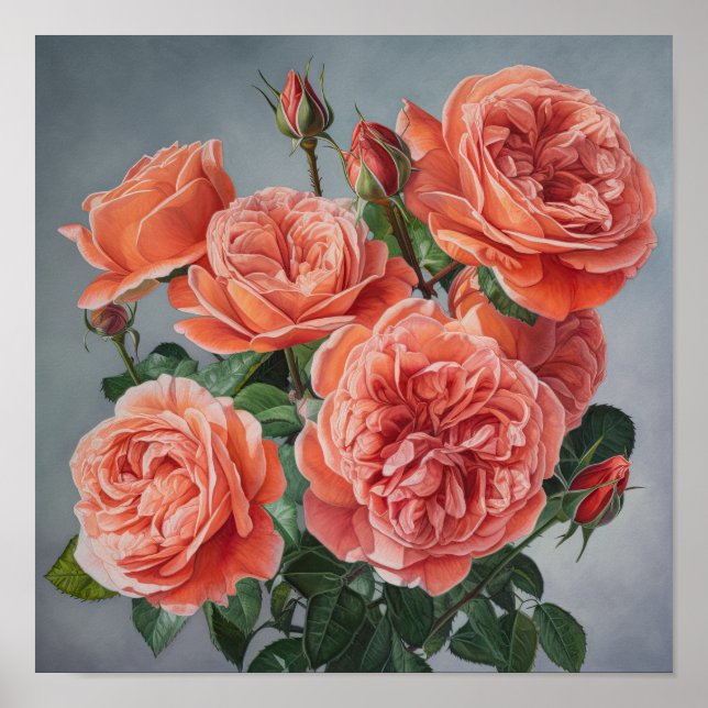 Rosa de Coral de Flor de Arte Impressão Poster (Frente)