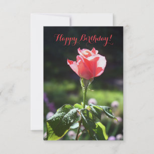 Rosa de Coral, Parabéns! Você Personaliza Cartão
