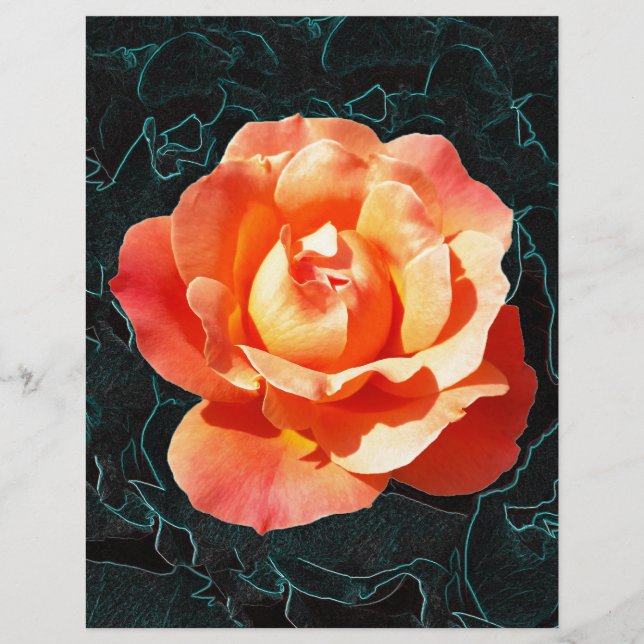 Rosa de laranja claro (Frente)