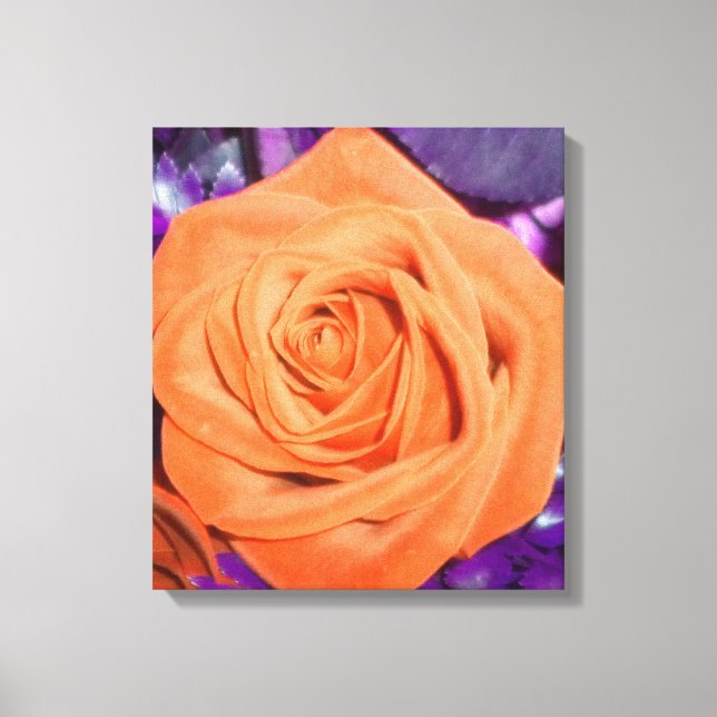 Rosa de laranja com Canvas de folhagem roxa (Frente)