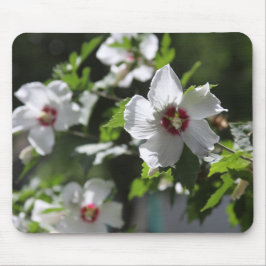 Rosa de Sharon Mouse Pad