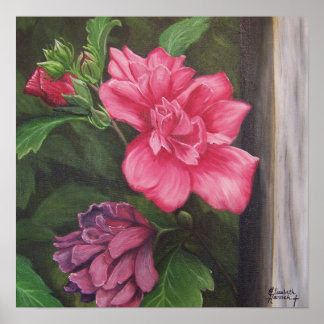 Rosa de Sharon Poster