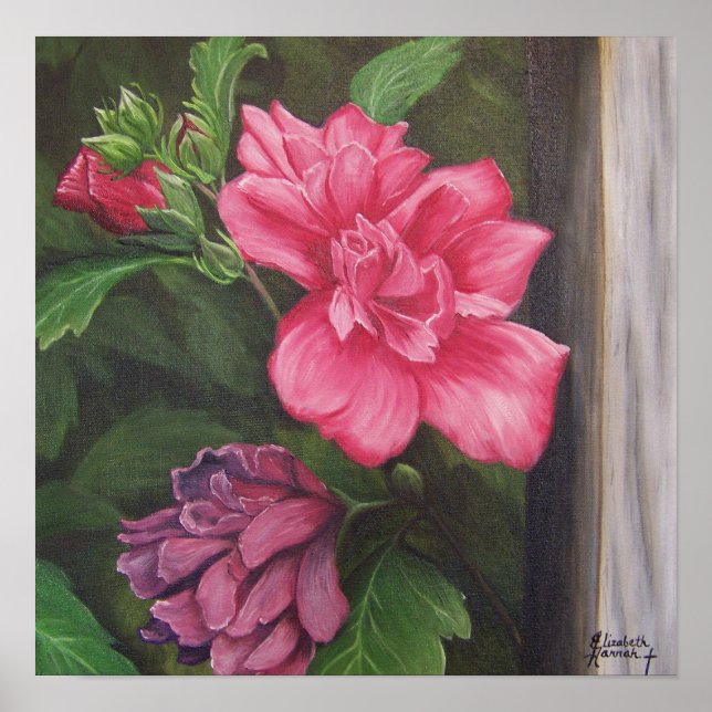 Rosa de Sharon Poster (Frente)