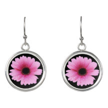 Rosa do Gerbera - margarida