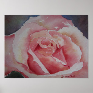 Rosa do rosa do POSTER