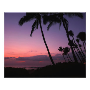 Rosa e impressão tropical roxo da foto do por do