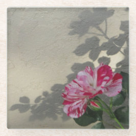 Rosa e Sombra Vanguarda