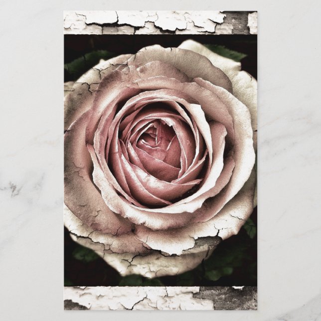 Rosa elegante (Frente)