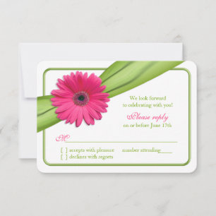 Rosa Gerber Daisy Fita Verde Casamento RSVP