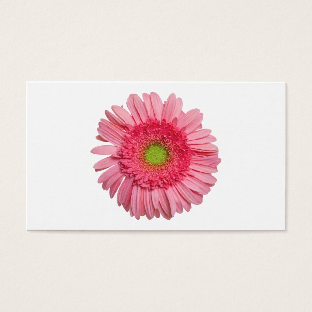 Rosa Gerbera Daisy (Frente)