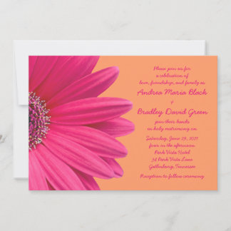Rosa Gerbera Daisy com Convite Laranja para Casame