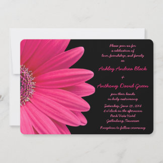 Rosa Gerbera Daisy sobre o Convite para Casamento 