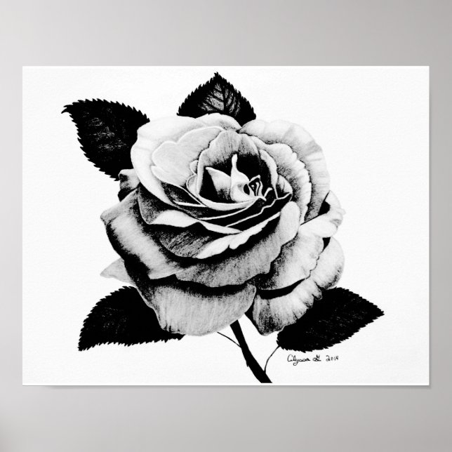 Rosa gravado com Poster de 11x14 (Frente)