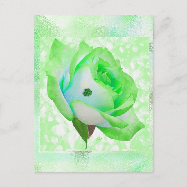 Rosa irlandês e aniversário! Cartão (Frente)