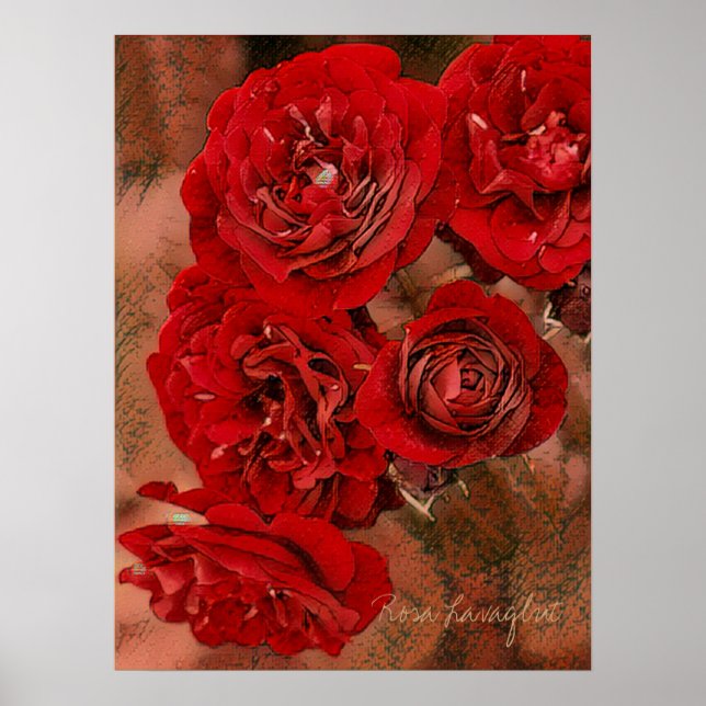 Rosa Lavaglut [Papel Poster de valor] (Frente)