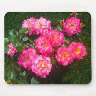 Rosa Mousepad do rosa quente