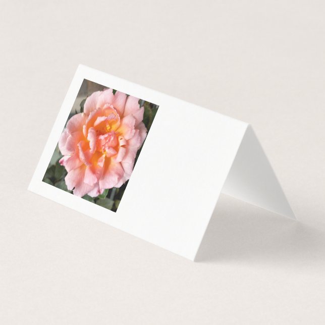 rosa no outono (Frente)