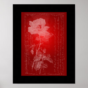Rosa no Red Poster
