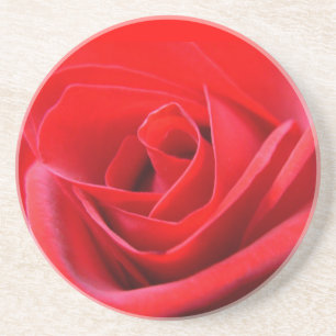 Rosa Porta copos Rosa vermelha Ofertas de Manuten