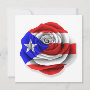 Rosa porto-riquenho - Bandeira de Branco