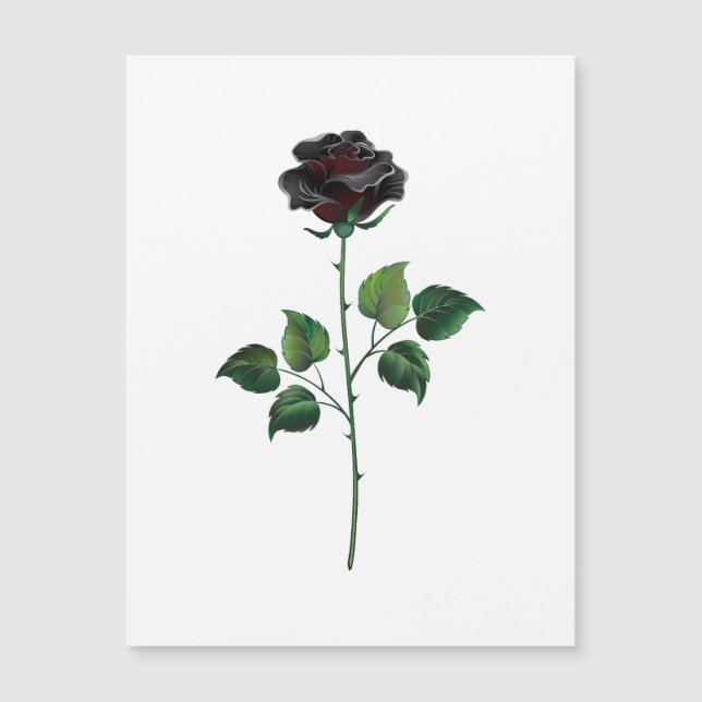 Rosa preto (Frente)