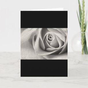 Rosa preto e branco, artigos de papelaria, modelo