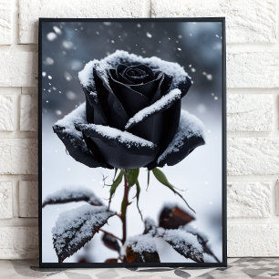 Rosa preto na neve - Impressão de arte floral Mood