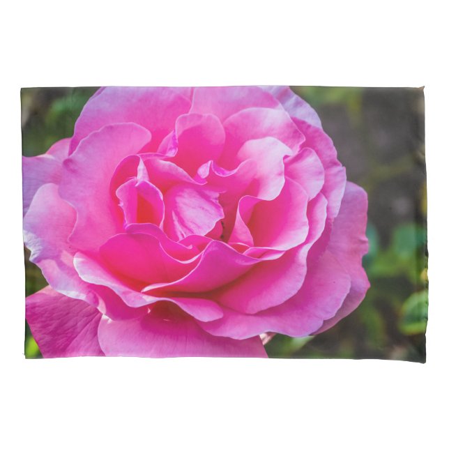 Rosa rosa delicada. (Frente)