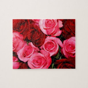 Rosa, rosa e Quebra-cabeça de serra vermelha