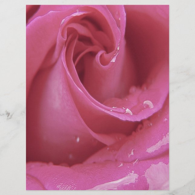 Rosa Rosa Rosa (Frente)